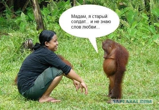 Советы от Гуру Пикапа