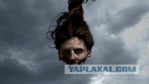Пенсионер охотился винтовкой времен ВОВ.