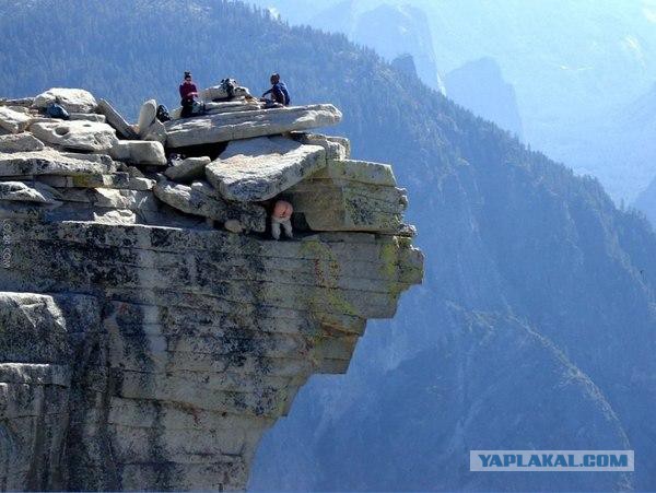 Очередная подборка фоток