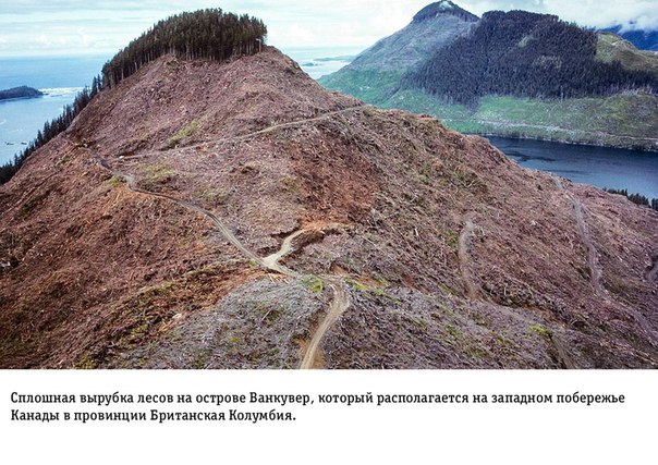 Интересные и веселые картинки