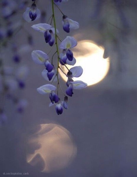 Интересные и веселые картинки