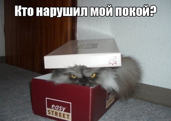 Мохнатые беспредельщики