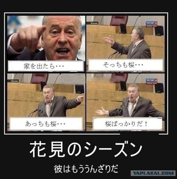 Юмор не для всех