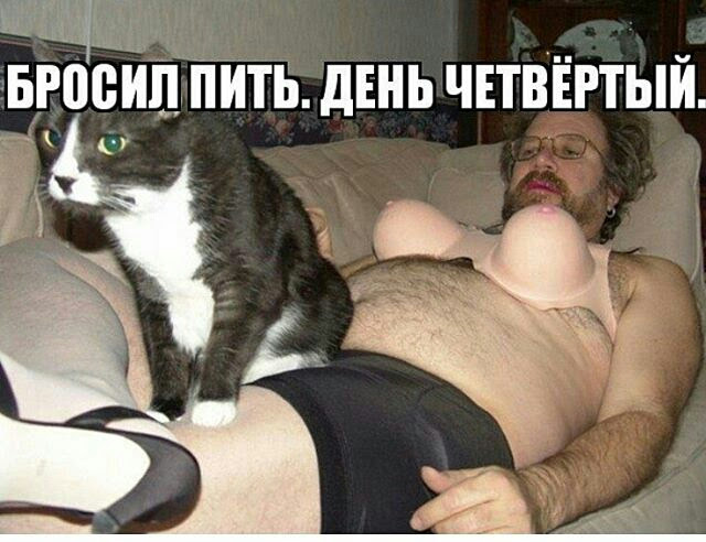 Подборка интересных и веселых картинок