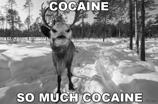 Новый имидж Суркова
