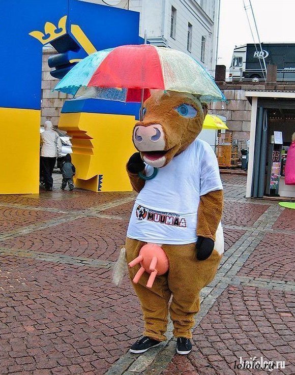 Подборка интересных и веселых картинок