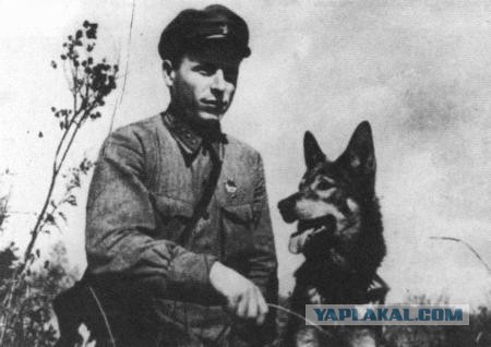 Погранвойска СССР