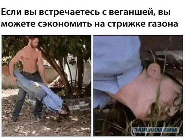 Подборка интересных и веселых картинок