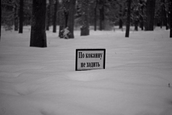 Передоз в Городе Бога