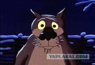 Куда делись настоящие мужчины?