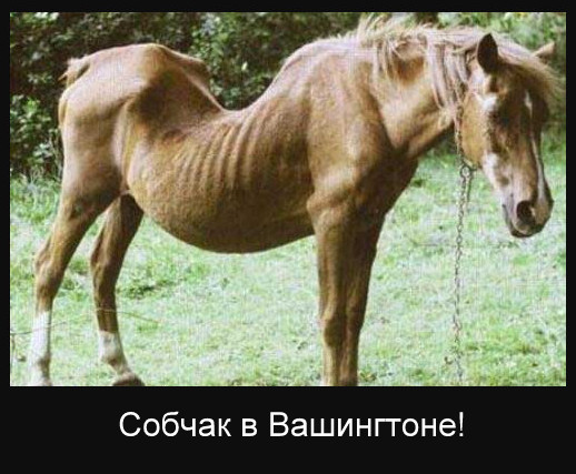 Собчак в Вашингтоне (онлайн)