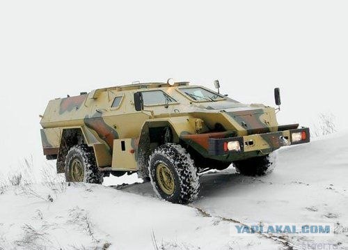 "Медведь" на страже