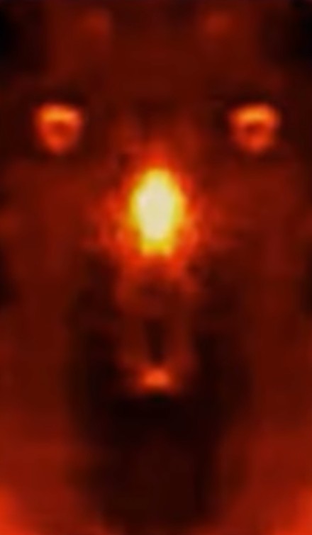 Фото демонов из Тёмной материи, сделанные испанским астрономом-любителем.