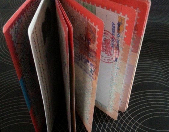 Что находится внутри паспортов у жителей разных стран