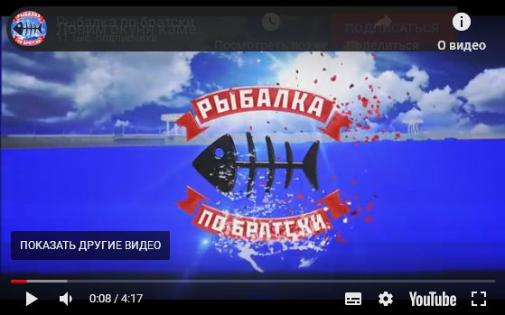 Ловля окуня на подводную камеру!