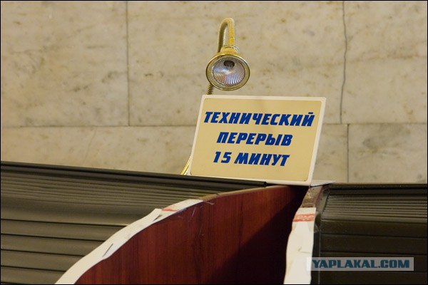 Детский мир. День последний.