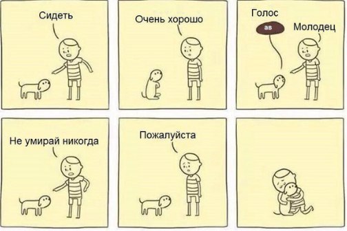 Немного картинок для настроения 05.02.20