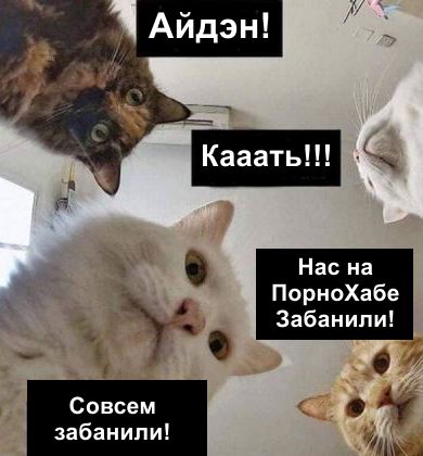 Привет друзья! Много новеньких, будем знакомы-я Пашкетт