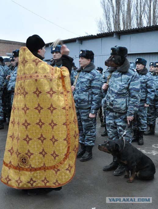 Во имя отца, сына....
