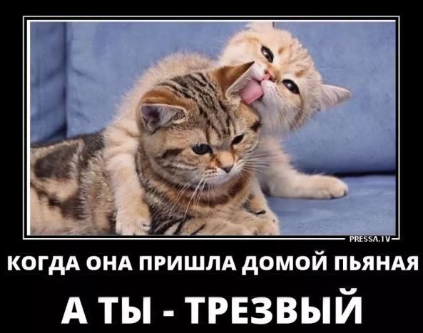 Женщина и деньги. Проституция не искоренима
