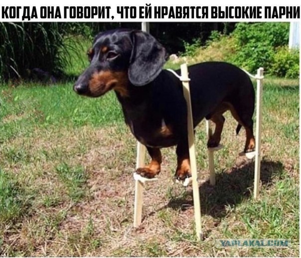 Мои картинки за 2020