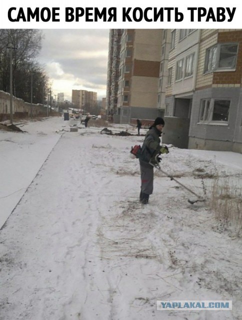 Картинки разные 12.02.21