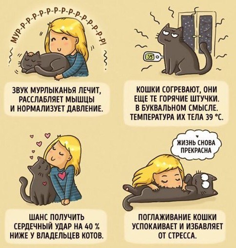 Так себе картинки 19.06.21