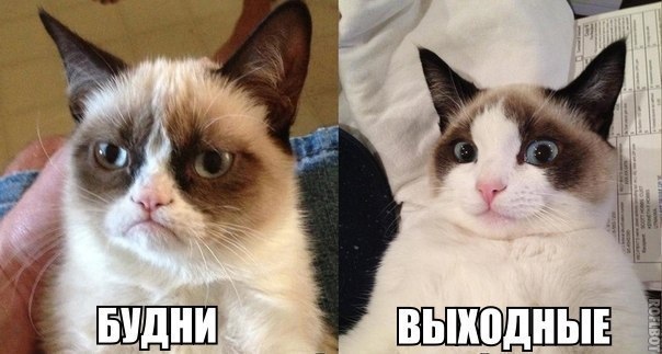 Так себе картинки 25.08.21
