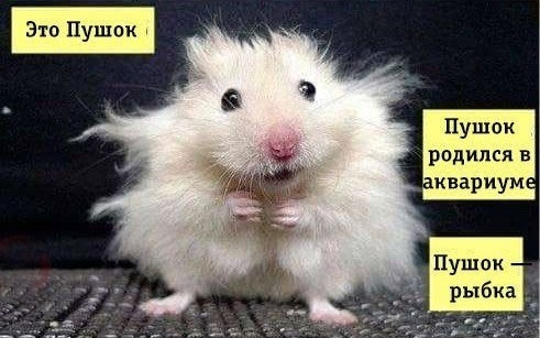 Красивые девушки из Украины