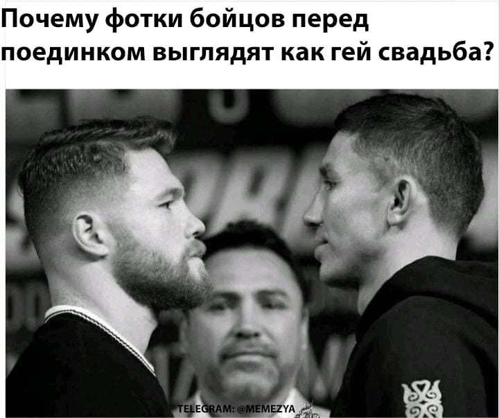 16497814.jpg