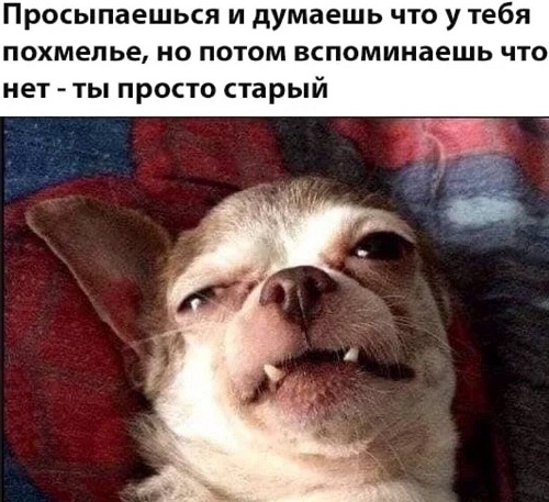 Подборка картинок из загруженного в сети