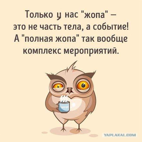 Концерт ДДТ в Москве перенесли