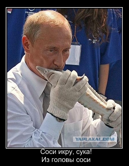 Самая полная коллекция поцелуев Путина