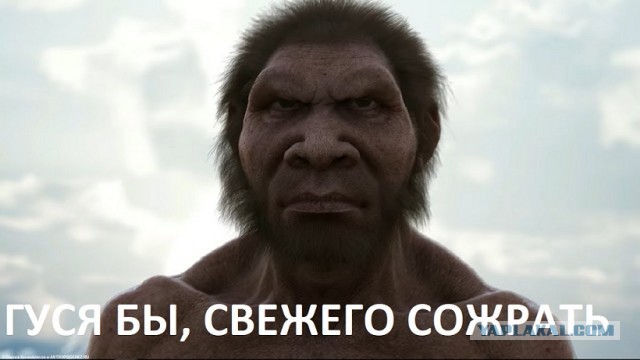 Неандертальцев погубила их могучая сексуальность