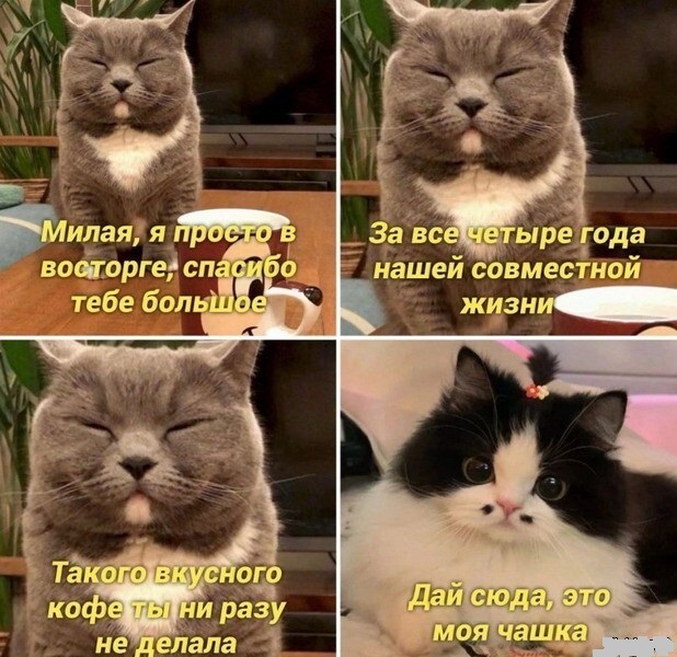 Немного картинок для настроения - 117