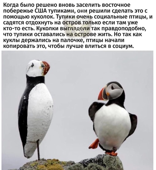 Картинки и мемы, всем хороших выходных