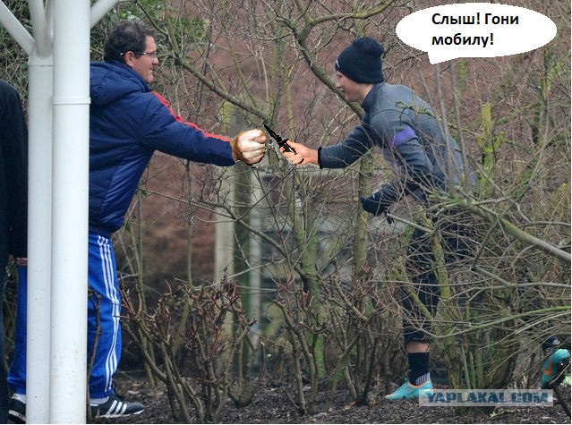 Аршавин навестил сборную