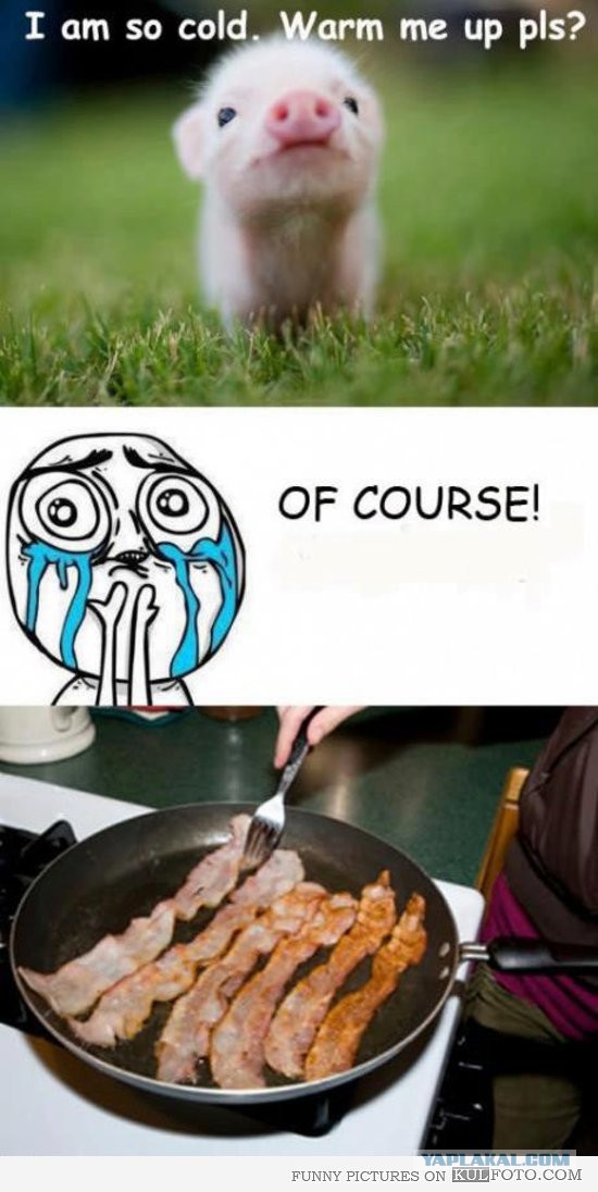 Животные добрые, они помогают друг другу