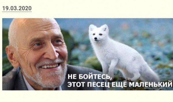 Победная поступь идиотизма по планете – том 15
