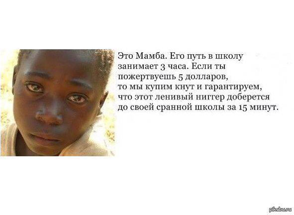 Хорошее негритянское образование, по биологии двойка наверное