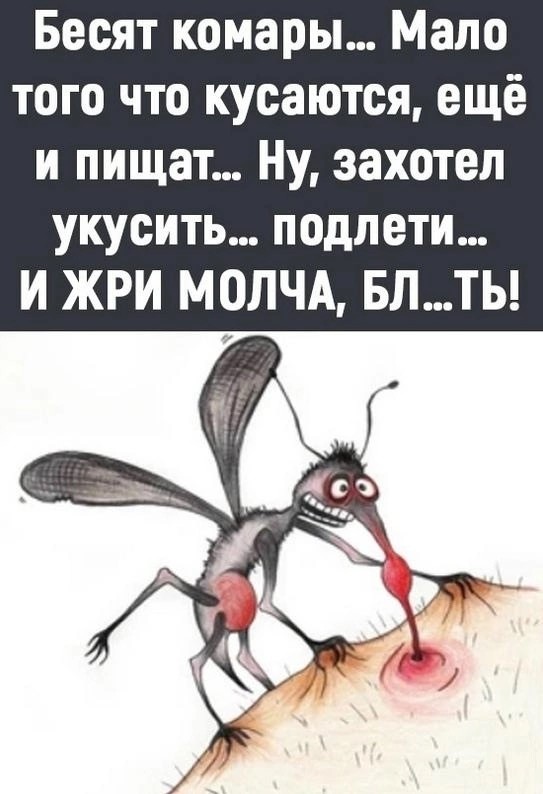 Нуштош 20.06.2024