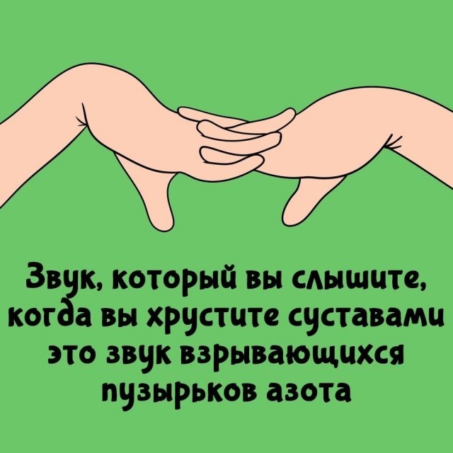 Подборка интересных фактов на все случаи жизни