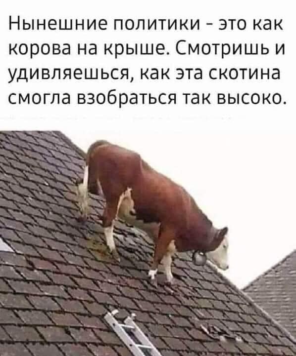 Песков прокомментировал требование Эрдогана вернуть Крым
