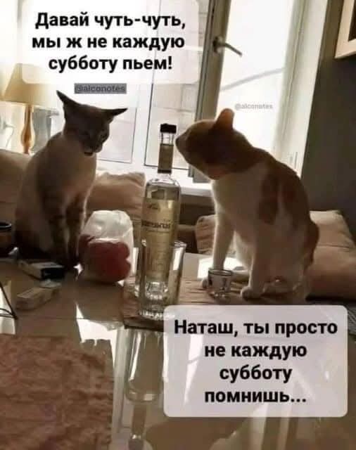 Маленькая пятница 9.04.25