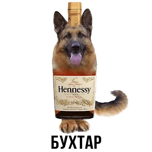 Укуренные картинки