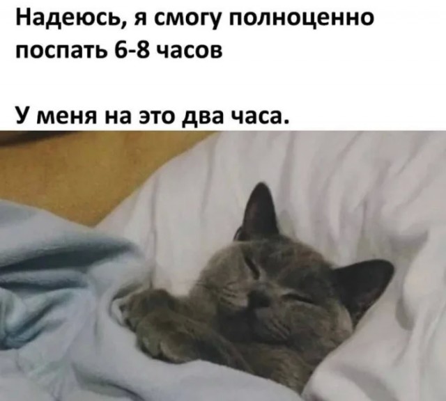 К котовторнику: подборка картинок-баянов с котиками и про котиков. Выпуск 10