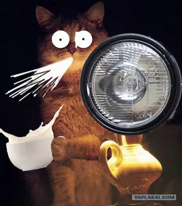 Наказана!⁠⁠