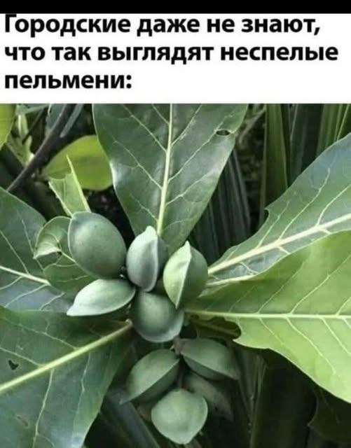 Веселые картинки в пятницу (03.02)