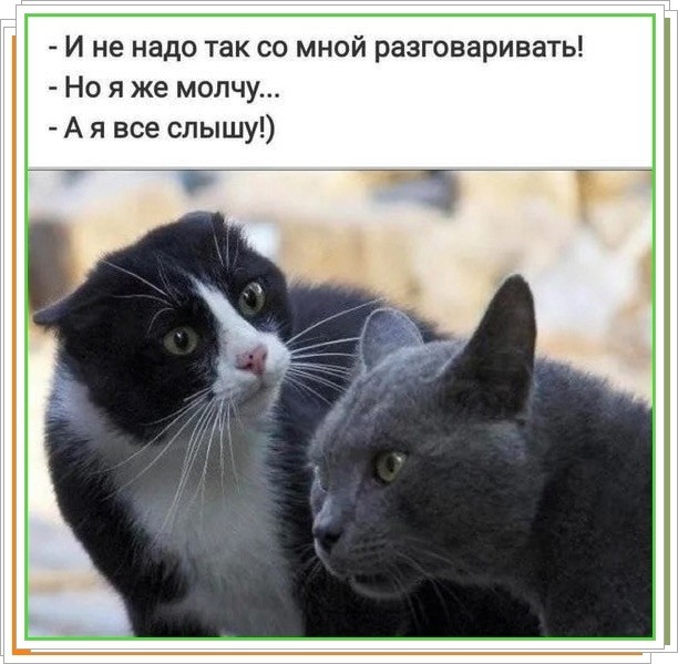 Воскресные картинки