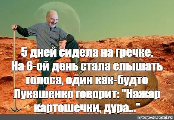 Горы картофеля бесплатно раздают в Германии из-за рекордного за 25 лет урожая